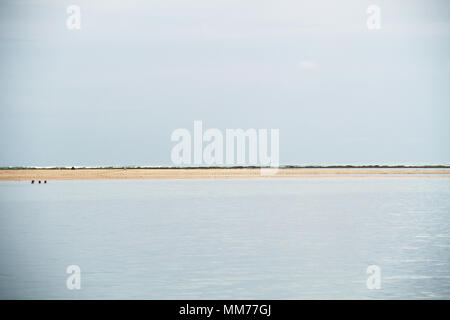 Zone de l'île d'Areia Vermelha Vermelha, plage d'Areia Vermelha, parc d'état de la Marine, Cabedelo, Paraíba, Brésil Banque D'Images