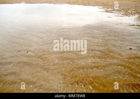 La texture, l'île d'Areia Vermelha, Areia Vermelha beach, Areia Vermelha État Marine Park, Cabedelo, Paraíba, Brésil Banque D'Images