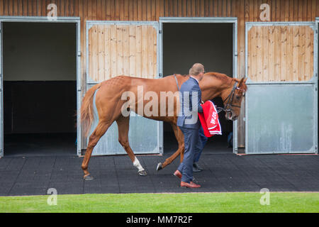 2:25 : Chester Le Chester Dee Stakes Races. Chester, Royaume-Uni. 10 mai 2018. La saison sèche est en cours dans un cadre raffiné sur Mesdames journée au Boodles Festival Mai à l'hippodrome de Chester. La bonne humeur et de plaisir fashions étaient à l'ordre du jour que les gens affluaient dans de ce fabuleux événement sur le calendrier des courses de chevaux. /AlamyLiveNews MediaWorldImages Crédit : Banque D'Images