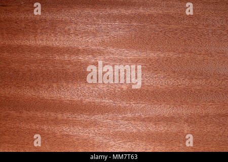 La texture du bois foncé Banque D'Images