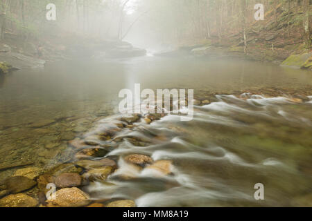 Trou Bleu Peekamoose enveloppée de brouillard de printemps sur le Rondout Creek dans la région de Denning, New York. Banque D'Images