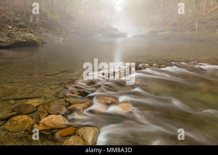 Trou Bleu Peekamoose enveloppée de brouillard de printemps sur le Rondout Creek dans la région de Denning, New York. Banque D'Images