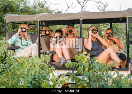 Un groupe de touristes dans une caravane safari tous les détenir jusqu'à leur appareil photo Prenez des photos de la faune. Le Parc National de Chobe - Botswana Banque D'Images