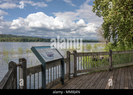 Plate-forme d'observation entre l'Oregon et Washington states. Banque D'Images