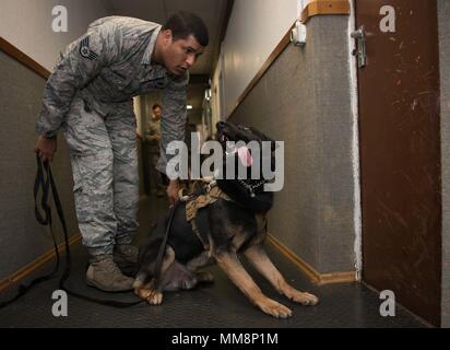 Orca, 86e Escadron des Forces de sécurité de chien de travail militaire, regarde son maître, le sergent-major de l'US Air Force. Steven Barnum, 86th FS de chien de travail militaire, après avoir détecté une odeur chimique durant sa formation sur la base aérienne de Ramstein, en Allemagne, 6 septembre 2017. 86Th FS MWDs sont formés au travail de patrouille et d'explosif ou de détection de stupéfiants. Leurs compétences de protection et de détection les rendent extrêmement précieux pour neutraliser les menaces avant qu'elles causent des pertes. (U.S. Photo de l'Armée de l'air par la Haute Airman Elizabeth Baker) Banque D'Images