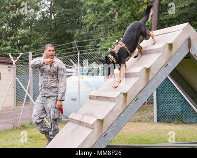 Le sergent de l'US Air Force. Steven Barnum, gauche, 86e Escadron des Forces de sécurité de chien de travail militaire, conduit son chien, Orca, par le biais d'un cours sur la formation d'obéissance de base aérienne de Ramstein, Allemagne, Septembre 12, 2017. MWDs doit être extrêmement discipliné et adaptés à leurs maîtres donc quand il y a danger, les chiens vont réagir immédiatement et correctement pour neutraliser la menace. (U.S. Photo de l'Armée de l'air par la Haute Airman Elizabeth Baker) Banque D'Images