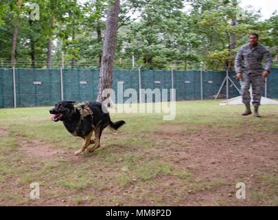 Le sergent de l'US Air Force. Steven Barnum, gauche, 86e Escadron des Forces de sécurité de chien de travail militaire, animaux domestiques son chien, Orca, avant de lui demander de marcher à travers un cours d'obéissance sur base aérienne de Ramstein, Allemagne, Septembre 12, 2017. L'obéissance est le fondement de la réussite entre les gestionnaires et leurs chiens MWD, parcours d'obstacles à l'obéissance parfaite des comportements. (U.S. Photo de l'Armée de l'air par la Haute Airman Elizabeth Baker) Banque D'Images