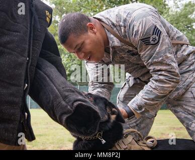 Le sergent de l'US Air Force. Steven Barnum, gauche, 86e Escadron des Forces de sécurité de chien de travail militaire, encourage son chien, Orca, pour combler tous vos petits creux, l'auteur d'une simulation sur la base aérienne de Ramstein, Allemagne, Septembre 12, 2017. Les maîtres-chiens et leurs chiens doivent faire confiance, de respect et de compréhension pour qu'ils puissent travailler ensemble de manière cohérente et réagir rapidement pour neutraliser les menaces. (U.S. Photo de l'Armée de l'air par la Haute Airman Elizabeth Baker) Banque D'Images