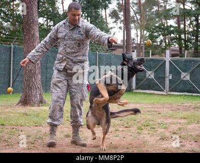 Le sergent de l'US Air Force. Steven Barnum, gauche, 86e Escadron des Forces de sécurité de chien de travail militaire, donne son chien, Orca, un jouet à jouer avec sur la base aérienne de Ramstein, Allemagne, Septembre 12, 2017. Les maîtres-chiens et leurs chiens doivent former la confiance, le respect et la compréhension, pour qu'ils puissent travailler ensemble efficacement à neutraliser les menaces avant que les menaces de causer des dommages. (U.S. Photo de l'Armée de l'air par la Haute Airman Elizabeth Baker) Banque D'Images