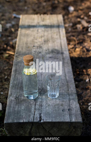 Une bouteille d'eau avec du citron et un verre. Un banc sur lequel est placée une boisson rafraîchissante. La saison de printemps. Banque D'Images