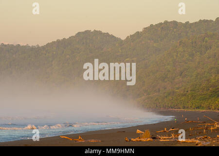 Plage de karaté, parc national de Corcovado, péninsule d'Osa, au Costa Rica, Amérique Centrale Banque D'Images