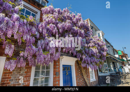 Glycine mauve en fleurs autour d'un cottage en brique rouge de la porte avec une porte bleue, New Alresford, une petite ville ou village dans le Hampshire, au Royaume-Uni, un jour ensoleillé Banque D'Images