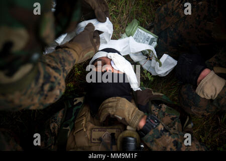 Les Marines américains avec rotation Maritime Force-Europe l'application pratique de l'aide médicale en milieu marin d'une blessure pendant l'exercice 17 dans Aurora, Suède, Lärbro, 20 septembre 2017. 17 Aurora est le plus grand exercice national suédois en plus de 20 ans, et il comprend le soutien de forces aux États-Unis et dans d'autres pays afin d'exercer la capacité de défense de la Suède et de promouvoir la sécurité régionale commune. (U.S. Marine Corps photo par le s.. Marcin Platek) Banque D'Images