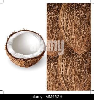La noix de coco. Vector illustration Illustration de Vecteur