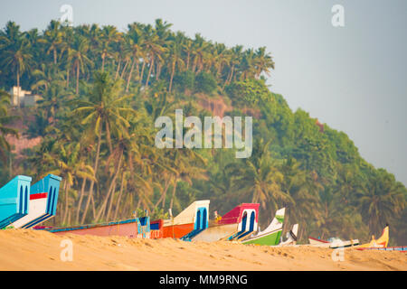 Vue rapprochée de beaux bateaux en bois colorés et sur la plage. Palmiers dans l'arrière-plan. Varkala plage tropicale, Kerala, Inde. Banque D'Images