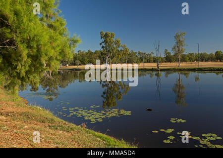 Paysage pittoresque à Hood's Lagoon avec les arbres environnants de parcs & ciel bleu reflété dans l'eau calme à Clermont outback Queensland Australie Banque D'Images