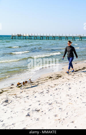 La Suède, Falsterbo - Avril 28, 2018 : Voyage documentaire de la vie quotidienne et le lieu. Young woman walking un chien sur une plage avec une jetée en bois en th Banque D'Images