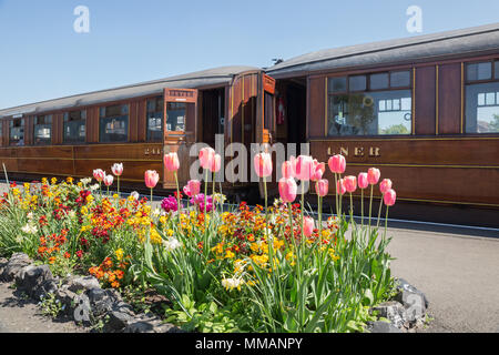 Vintage voitures de chemins de fer, portes ouvertes en attente de passagers à bord du train à vapeur pour monter. Belles fleurs de printemps en fleurs sur la plate-forme. Banque D'Images