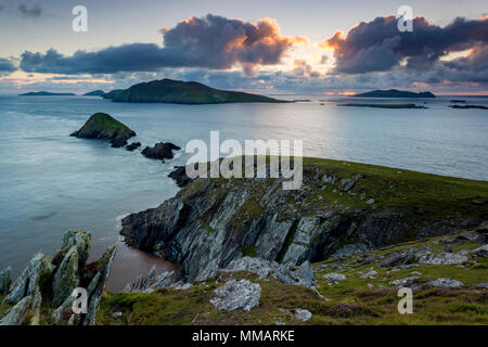 Îles Blasket au coucher du soleil de Dunmore Head, péninsule de Dingle, comté de Kerry, Irlande Banque D'Images