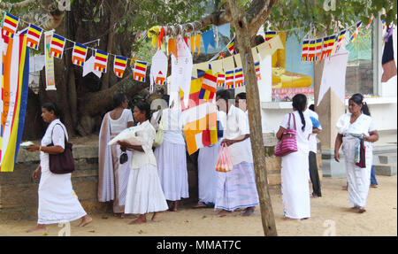 Les gens priant près d'un arbre sacrées du bouddhisme dans Anuradhapura, Sri Lanka Banque D'Images