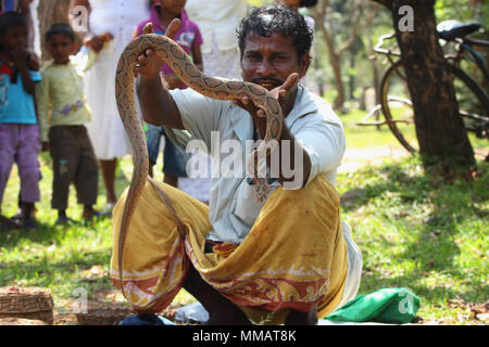 Sro-Lankais homme tenant un serpent dans les mains Banque D'Images