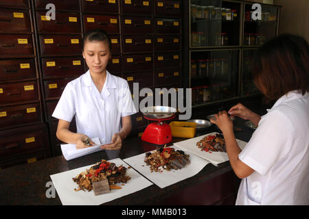 La médecine traditionnelle chinoise d'excellente réputation. Phytothérapie thérapie. Banque D'Images