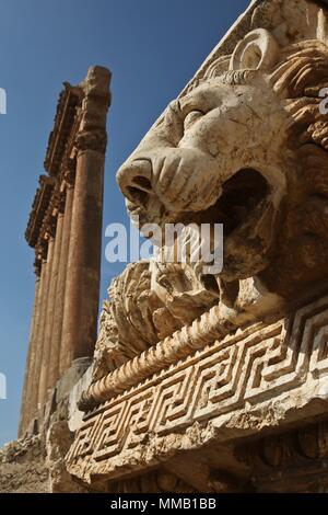 Mane Attraction Baalbek Banque D'Images