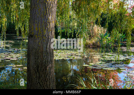 Les nénuphars et les jardins, maison et Jardins de Claude Monet à Giverny, France Banque D'Images