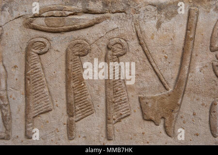 L'Égypte. Temple d'Edfou. Ancien temple dédié à Horus. Période ptolémaïque. Il a été construit pendant le règne de Ptolémée III et Ptolémée XII, 237-57 BC. Reliefs représentant des signes hiéroglyphiques, plumes d'autruche et de la couronne de la Basse Égypte. Banque D'Images