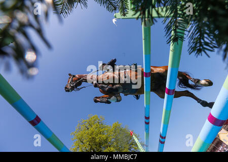 Jockey Imogen Murray avec Ivar Gooden saute la dernière de la ronde de saut lors de la cinquième journée de la Mitsubishi Motors Badminton Horse Trials au Badminton Estate, Gloucestershire. Banque D'Images