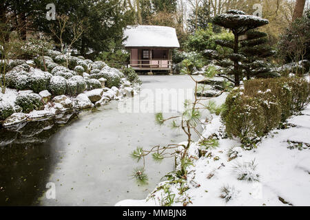 Un petit salon de thé dans un jardin de style japonais traditionnel, les semis de conifères et de glace sur l'eau de la piscine. Banque D'Images