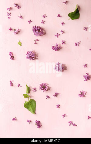 Plus de fleurs lilas rose Banque D'Images