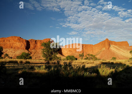 Dunes pétrifiées au coucher du soleil dans le désert de Namib Banque D'Images