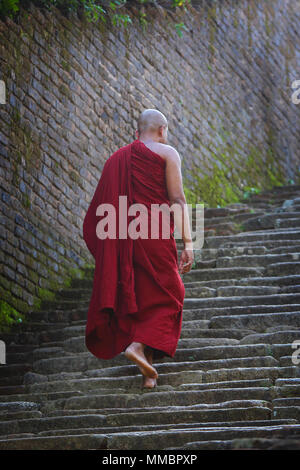 Le moine bouddhiste de grimper les escaliers en pierre au Sri Lanka Banque D'Images