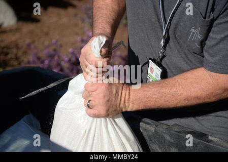 Freeman Stanley, Vectrus Boutique Structures Carpenter, attrape un sac de sable d'un contenant le 6 octobre 2017, sur la base aérienne de Keesler, Mississippi. Sacs de sable ont été placés autour de bâtiments clés sur la base aérienne Keesler pour aider à prévenir les inondations en vue de la tempête tropicale Nate. (U.S. Air Force photo par un membre de la 1re classe Suzanna Plotnikov) Banque D'Images