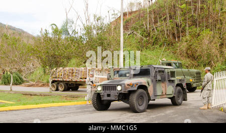 Des soldats de la réserve de l'Armée américaine affecté à la 432e compagnie de transport, 346e, 166e bataillon de transport Groupe de soutien régional, 1ère Commande de soutien de mission, hors de Ceiba, Puerto Rico, arrivent au Rafael accalmie d'apporter de la nourriture en Coliseum Adjuntas, Puerto Rico, le 6 octobre 2017. Le Colisée est un emplacement central pour distribuer de la nourriture et d'eau pour les communautés locales. (U.S. Réserve de l'armée photo par le Sgt. Carlos Garcia) Banque D'Images