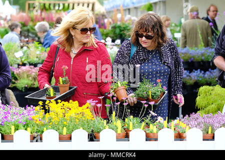 Festival du Printemps de Malvern RHS - Vendredi 11 mai 2018 - Les visiteurs apprécier la navigation sur les nombreux étals de plantes à ce ans RHS Malvern Fête du printemps - Photo Steven Mai / Alamy Live News Banque D'Images