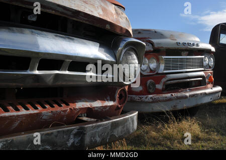 Vintage, les tâches d'camionnettes s'asseoir dans un champ le long de la Route 66 dans le Nouveau Mexique. Banque D'Images