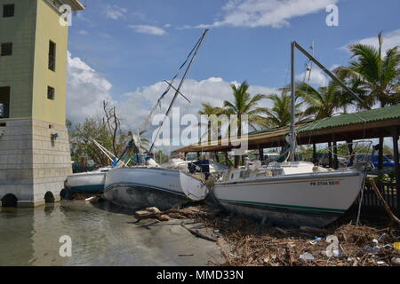 Voiliers s'asseoir sur le port de plaisance La Guancha après avoir été endommagé lors de l'Ouragan Maria à Ponce, Porto Rico, le 14 octobre 2017. Les équipes de la maria FSE-10 PR Unified Command sont l'évaluation des dégâts après la tempête et prendre des mesures pour prévenir l'impact sur l'environnement. Le commandement unifié est composé du Ministère des Ressources naturelles et environnementales, la Garde côtière et d'autres, de l'état et les organismes locaux. 10 Le FSE est le cadre par lequel l'aide fédérale est coordonnée avec des organismes d'état en réponse aux déversements d'effectifs ou potentiels ou les matières dangereuses de presse. U.S. Banque D'Images