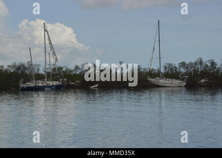 Voiliers s'asseoir dans la mangrove à la terre après avoir été endommagé lors de l'Ouragan Maria à Salinas, Puerto Rico, 14 octobre, 2017. Les équipes de la maria FSE-10 PR Unified Command sont l'évaluation des dégâts après la tempête et prendre des mesures pour prévenir l'impact sur l'environnement. Le commandement unifié est composé du Ministère des Ressources naturelles et environnementales, la Garde côtière et d'autres, de l'état et les organismes locaux. 10 Le FSE est le cadre par lequel l'aide fédérale est coordonnée avec des organismes d'état en réponse aux déversements d'effectifs ou potentiels ou les matières dangereuses de presse. Côte des États-Unis Banque D'Images