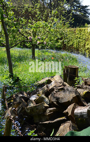 Log pile dans le jardin d'Gunby Hall, Lincolnshire, Royaume-Uni Banque D'Images