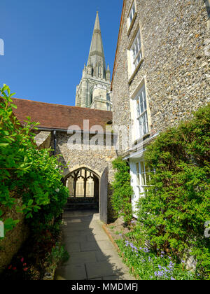 Après-midi de printemps soleil sur la cathédrale de Chichester de Bishop's Palace Gardens, Chichester, West Sussex, UK Banque D'Images