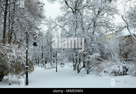 Beau couvert d'hiver matin Ivan Franko Park dans le centre-ville de Lviv, Ukraine. Banque D'Images