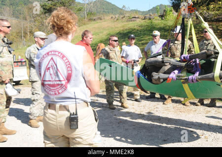 Le Major de la Garde nationale de la Virginie de l'Ouest Walter Hatfield (centre) évalue la méthode de montage utilisée à la verticale d'un palan, d'un mannequin de cheval au cours d'une session de formation de sauvetage des animaux tenue le 12 octobre 2017 au Centre de réponse National WVNG. Hatfield, commandant de l'Interagency Training and Education Centre (JITEC) chimiques, biologiques, radiologiques, nucléaires et explosifs (CBRNE) à haut rendement d'bataillon, est également à la tête d'un sauvetage en eaux équipe composée de plus de 50 membres de l'WVNG Clendenin, Glasgow et des services d'incendie. (U.S. La Garde nationale de l'armée photo par le Sgt. Zoe Morris) Banque D'Images