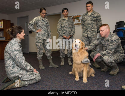 Le major Regina Owen, 436e Escadron d'opérations médicales santé mentale psychiatrie infirmière praticienne, introduit le Lieutenant-colonel Goldie, une enfant de neuf ans Golden Retriever chien de thérapie stationnés à Walter Reed National Military Medical Center, Bethesda, Md, aux membres de la 436e Escadron de contrôleur, le 19 octobre 2017, sur la base aérienne de Dover, Delaware dans le cadre de la défense des intérêts de la famille au cours du Mois de sensibilisation à la violence domestique, Owen escorté Goldie autour de la base de rencontrer le personnel de l'équipe de Douvres pendant ses affectations temporaires à Douvres. (U.S. Air Force photo de Roland Balik) Banque D'Images