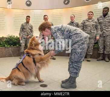 Le colonel Dawn Lancaster, Air Force Commandant des opérations d'affaires mortuaires, donne le Lieutenant-colonel Goldie un festin et un baiser sur le nez lors de sa visite avec AFMAO personnel, 20 octobre 2017, sur la base aérienne de Dover, Delaware Goldie est un enfant de neuf ans Golden Retriever chien de thérapie stationnés à Walter Reed National Military Medical Center, Bethesda, MD, est venu à la base pour faire partie de la 436e Escadron d'opérations médicales La défense des intérêts de la famille le Mois de sensibilisation contre la violence familiale de sensibilisation. (U.S. Air Force photo de Roland Balik) Banque D'Images