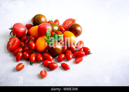 Tomate cerise sur fond gris avec copyspace. Rouge, jaune et noir les tomates, les feuilles de basilic Banque D'Images