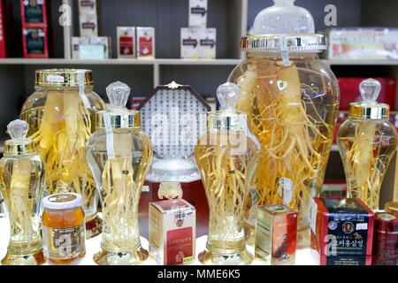 Le Ginseng (Panax ginseng). Racines de forme différente et tailles dans l'alcool pour la vente. Ho Chi Minh Ville. Le Vietnam. Banque D'Images