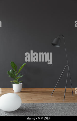 Salon intérieur avec plante verte dans un pot blanc et de métal noir, lampe de mur vide Banque D'Images