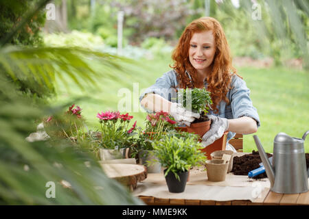 Happy housewife replanter au printemps fleurs travailler dans le jardin Banque D'Images